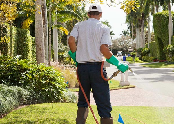About Stump Creek PA Pest Control